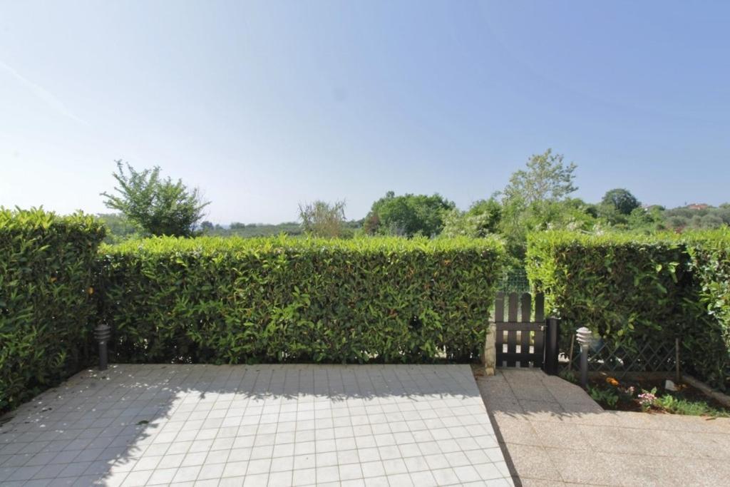 Biljana Apartment Savudrija Bagian luar foto